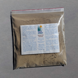 HyphaLink PurEndo - Endo Mycorrhizae Without Biostimulants