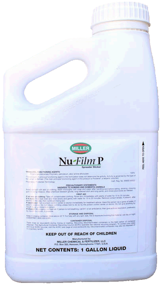 Product Big image